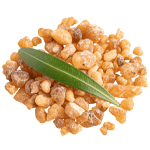 Boswellia Serrata Standardized AKBA